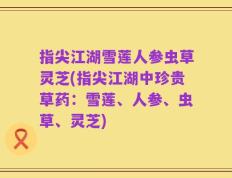 指尖江湖雪莲人参虫草灵芝(指尖江湖中珍贵草药：雪莲、人参、虫草、灵芝)