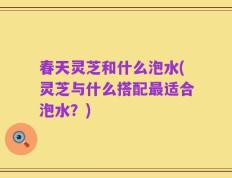 春天灵芝和什么泡水(灵芝与什么搭配最适合泡水？)