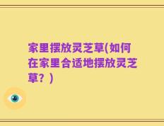 家里摆放灵芝草(如何在家里合适地摆放灵芝草？)