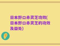 日本野口赤灵芝功效(日本野口赤灵芝的功效及益处)