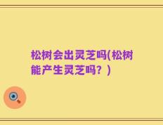 松树会出灵芝吗(松树能产生灵芝吗？)