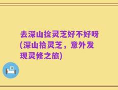 去深山捡灵芝好不好呀(深山拾灵芝，意外发现灵修之旅)