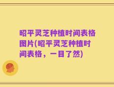 昭平灵芝种植时间表格图片(昭平灵芝种植时间表格，一目了然)