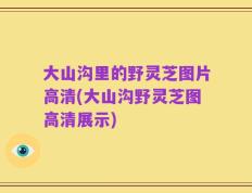 大山沟里的野灵芝图片高清(大山沟野灵芝图高清展示)