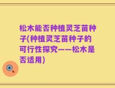 松木能否种植灵芝苗种子(种植灵芝苗种子的可行性探究——松木是否适用)