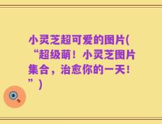 小灵芝超可爱的图片(“超级萌！小灵芝图片集合，治愈你的一天！”)