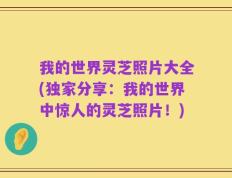 我的世界灵芝照片大全(独家分享：我的世界中惊人的灵芝照片！)