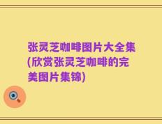 张灵芝咖啡图片大全集(欣赏张灵芝咖啡的完美图片集锦)