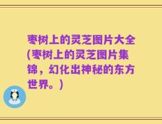 枣树上的灵芝图片大全(枣树上的灵芝图片集锦，幻化出神秘的东方世界。)