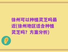 徐州可以种植灵芝吗最近(徐州地区适合种植灵芝吗？方案分析)