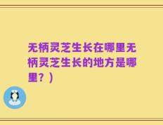 无柄灵芝生长在哪里无柄灵芝生长的地方是哪里？)