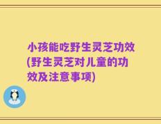 小孩能吃野生灵芝功效(野生灵芝对儿童的功效及注意事项)