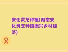 安化灵芝种植(湖南安化灵芝种植振兴乡村经济)