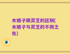 木娥子跟灵芝的区别(木娥子与灵芝的不同之处)