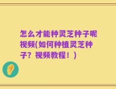 怎么才能种灵芝种子呢视频(如何种植灵芝种子？视频教程！)