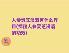 人参灵芝浸酒有什么作用(探秘人参灵芝浸酒的功效)