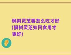 枫树灵芝要怎么吃才好(枫树灵芝如何食用才更好)