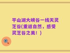 平山湖大峡谷一线天灵芝谷(重返自然，感受灵芝谷之美！)