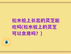 松木桩上长出的灵芝能吃吗(松木桩上的灵芝可以食用吗？)