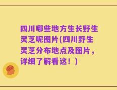 四川哪些地方生长野生灵芝呢图片(四川野生灵芝分布地点及图片，详细了解看这！)
