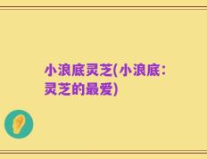 小浪底灵芝(小浪底：灵芝的最爱)