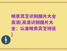 明贵灵芝识别图片大全高清(高清识别图片大全：认准明贵灵芝特征)