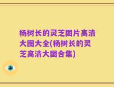 杨树长的灵芝图片高清大图大全(杨树长的灵芝高清大图合集)