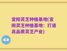 宜阳灵芝种植基地(宜阳灵芝种植基地：打造高品质灵芝产业)