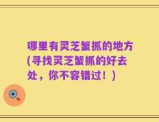 哪里有灵芝蟹抓的地方(寻找灵芝蟹抓的好去处，你不容错过！)
