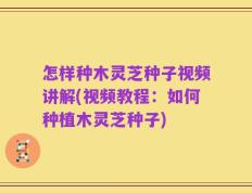 怎样种木灵芝种子视频讲解(视频教程：如何种植木灵芝种子)
