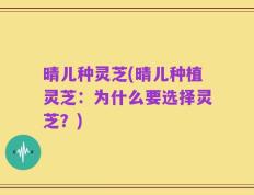 晴儿种灵芝(晴儿种植灵芝：为什么要选择灵芝？)