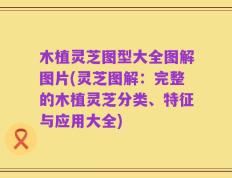 木植灵芝图型大全图解图片(灵芝图解：完整的木植灵芝分类、特征与应用大全)
