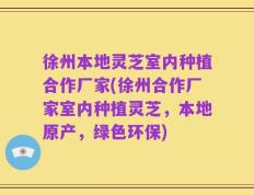 徐州本地灵芝室内种植合作厂家(徐州合作厂家室内种植灵芝，本地原产，绿色环保)