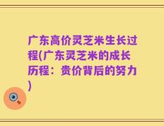 广东高价灵芝米生长过程(广东灵芝米的成长历程：贵价背后的努力)