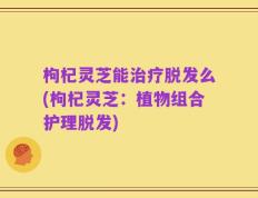 枸杞灵芝能治疗脱发么(枸杞灵芝：植物组合护理脱发)
