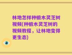 林地怎样种椴木灵芝树视频(种椴木灵芝树的视频教程，让林地变得更生态)
