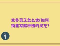 家养灵芝怎么卖(如何销售家庭种植的灵芝？