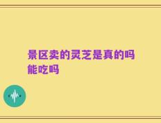 景区卖的灵芝是真的吗能吃吗