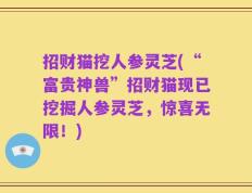 招财猫挖人参灵芝(“富贵神兽”招财猫现已挖掘人参灵芝，惊喜无限！)