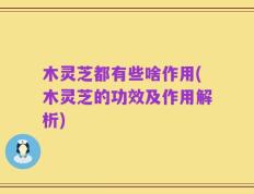 木灵芝都有些啥作用(木灵芝的功效及作用解析)