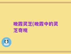 晚霞灵芝(晚霞中的灵芝奇观