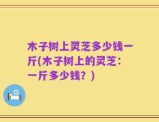 木子树上灵芝多少钱一斤(木子树上的灵芝：一斤多少钱？)