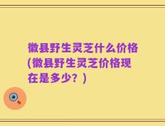徽县野生灵芝什么价格(徽县野生灵芝价格现在是多少？)