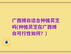 广西博白适合种植灵芝吗(种植灵芝在广西博白可行性如何？)