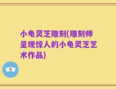小龟灵芝雕刻(雕刻师呈现惊人的小龟灵芝艺术作品)