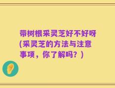 带树根采灵芝好不好呀(采灵芝的方法与注意事项，你了解吗？)