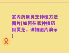 室内药用灵芝种植方法图片(如何在家种植药用灵芝，详细图片演示)