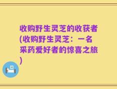 收购野生灵芝的收获者(收购野生灵芝：一名采药爱好者的惊喜之旅)