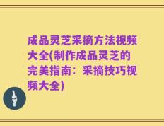 成品灵芝采摘方法视频大全(制作成品灵芝的完美指南：采摘技巧视频大全)