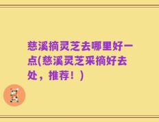 慈溪摘灵芝去哪里好一点(慈溪灵芝采摘好去处，推荐！)